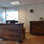 Buro yellow poplar