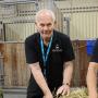 Horse Service International BV