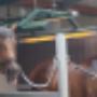 Horse Service International BV