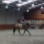 Horse Service International BV