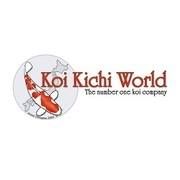 Koi Kichi World