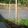 Hoveniersbedrijf Cordewener Groen