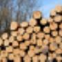 Pelzer Houtindustrie BV