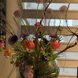 Leliveld Bloemen