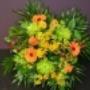 Heuvelmans Bloemsierkunst Ed