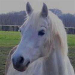 Cadier en Keer Manege