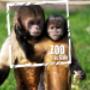 GaiaPark Kerkrade Zoo