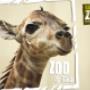 GaiaPark Kerkrade Zoo