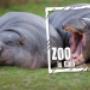 GaiaPark Kerkrade Zoo