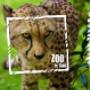GaiaPark Kerkrade Zoo