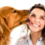 AnimalCare Dierenartsen