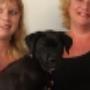 AnimalCare Dierenartsen