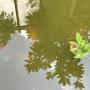 Na heftige regen