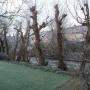Molendijk Tuinonderhoud W C