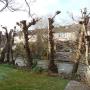 Molendijk Tuinonderhoud W C