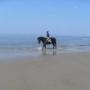 Hoeve Camperduin V O F