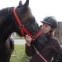 Hoeve Camperduin V O F