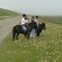 Hoeve Camperduin V O F