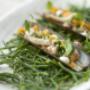 Foodphotography