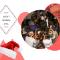 Kerst-Borrel-Spel