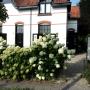 Schilderwerken pand