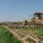 Eurofins Agro