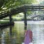 Landije van Giethoorn De