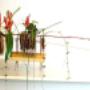 Protestantse Gemeente Dalfsen p/a