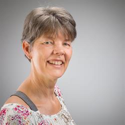 Olijf Voedingsadvies