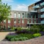 Beplanting Oud-Beijerland