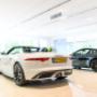 Jaguar Kroymans