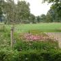 Have Tuintechniek Hovenier W J F ten