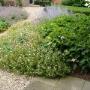 Have Tuintechniek Hovenier W J F ten