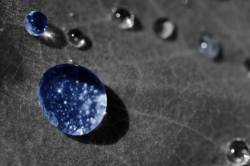 DrupWeb