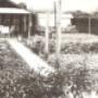 Recreatie Tuinvereniging Aarlehof