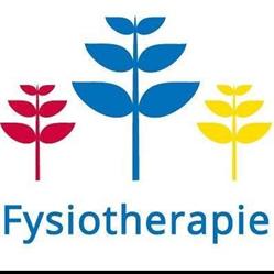 Fysiotherapiepraktijk Schaafdries (Saedt-Daanen)