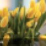 Praktische sales workshops