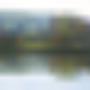 Anseremme Belgische Maas