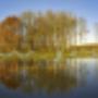 Biesbosch