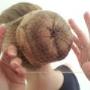 Balletschool Dans Creatie