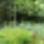 Hospice Groep Haarlem eo Stichting