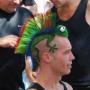 Hooijmans Hairline