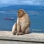 Gibraltar