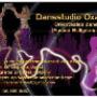 www.dansnederland.com