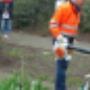 Molenduin voor V(SO)zmok Het