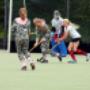 Hockeyvereniging De Graspiepers