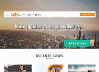 Kingweb Marketing
