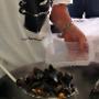 Mossel Catering de Mosselcompany