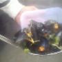 Mossel Catering de Mosselcompany