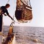 Mossel Catering de Mosselcompany